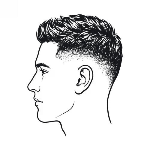 Profile diagram showing where a skin fade is cut
